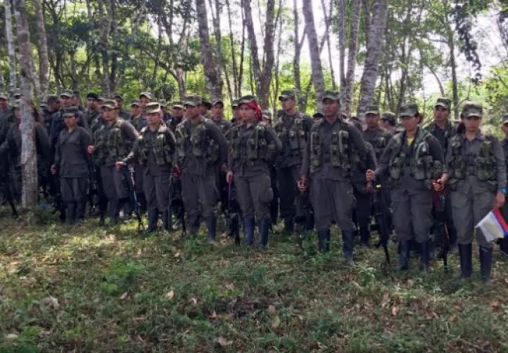 Miembros de la FARC. Foto: Archivo