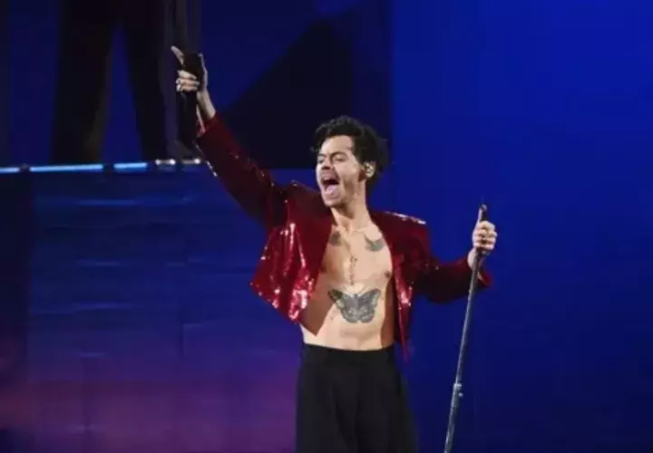 El cantante británico Harry Styles. Foto: EFE / EPA / Neil Hall / Archivo