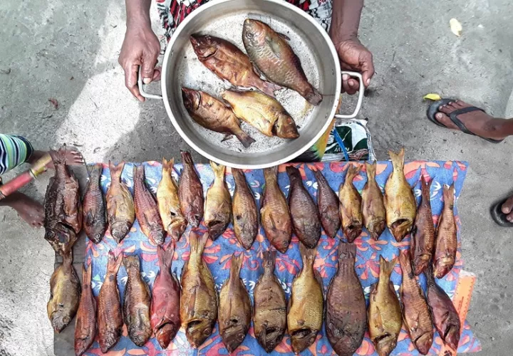 Una variedad de peces de arrecife ahumados. Foto: Jessica Zamborain-Mason