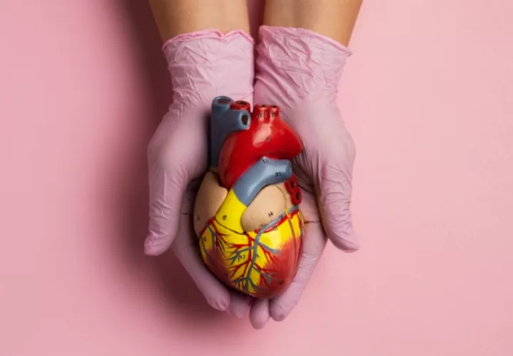 Enfermedades del corazón. Foto:  Ilustrativa / Freepik