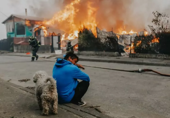 Casas afectadas por incendios forestales en Chile. Foto: EFE