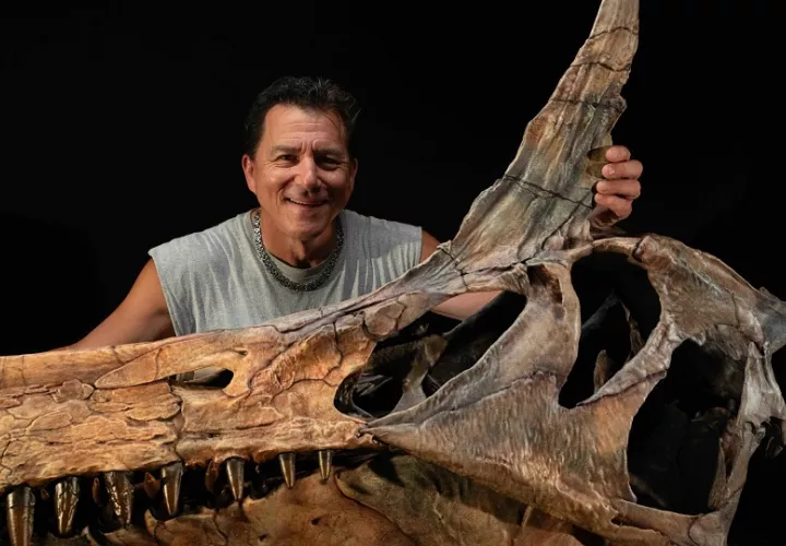 Recreación artística del gigantesco dinosaurio, realizada por el 'paleoartista' Daniel Navarro. Foto. EFE