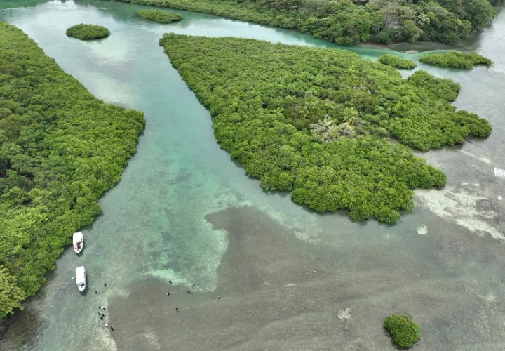  Panamá cuenta con una amplia riqueza de humedales distribuidos tanto en zonas costeras como continentales. Foto: EFE / Mi Ambiente
