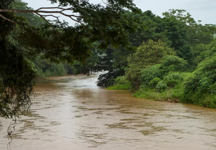 La multa se dio por la contaminación con vinaza a la fuente hídrica del río La Villa. Foto: MiAmbiente