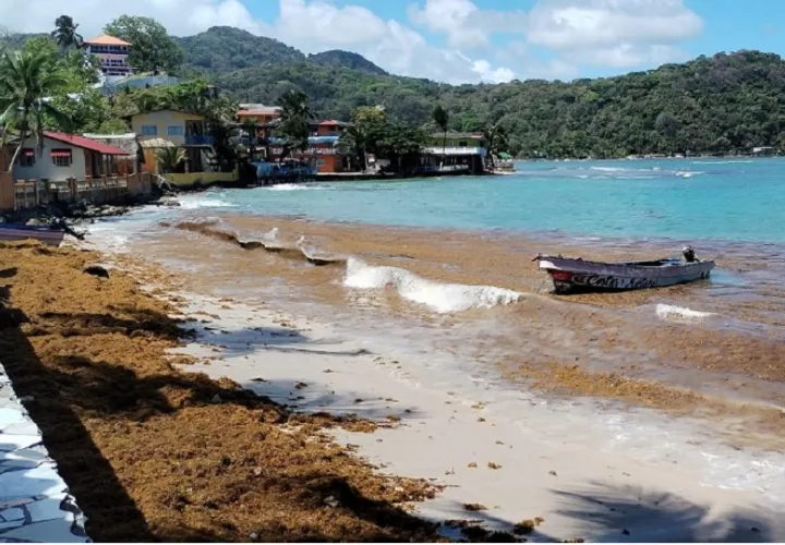MiAmbiente recomienda a la población evitar el contacto con el agua en las áreas afectadas mientras persista la acumulación. Foto. Cortesía