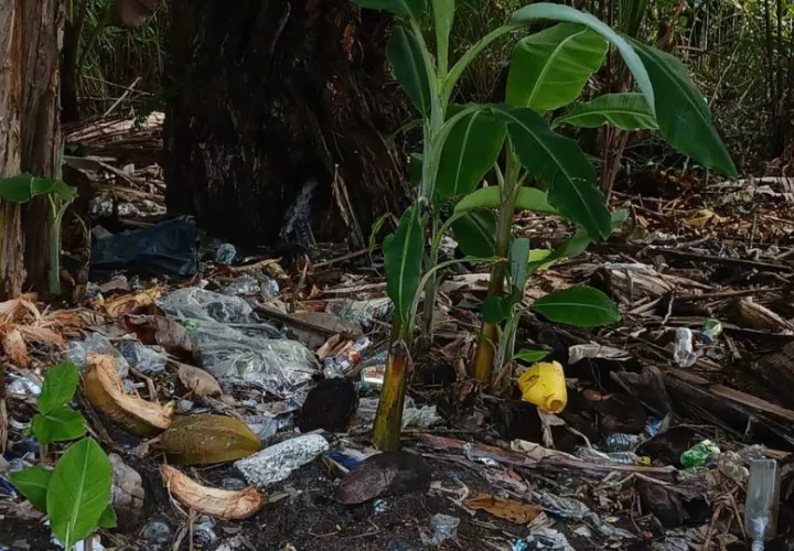 Se hallaron depósitos de desechos sólidos, deforestación, viviendas permanentes. Foto: Cortesía