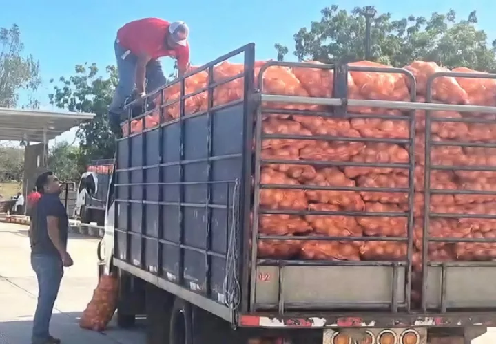 La distribución del producto se espera que esté disponible en los distintos puntos de venta del IMA en todo el país. Foto. Thays Domínguez