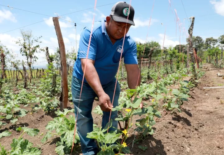 La recuperación del BDA continúa a buen ritmo en el 2026. Foto: Cortesía