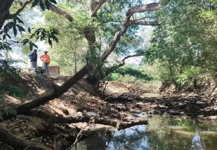 En la actualidad, las cosechas de maíz, cebolla, ají y tomate están en su fase vegetativa; por esta razón, necesitan un abastecimiento continuo de agua.