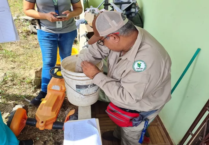 Se insta a la población a eliminar todos los recipientes en desuso que puedan acumular agua. Foto: Cortesía