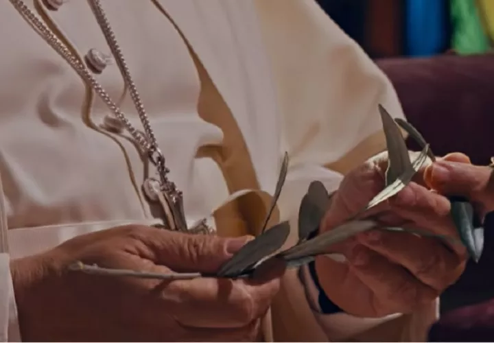 El papa ha subido un video en las redes sociales en la que invita, en varios idiomas, a rezar con él por la paz en el mundo. Foto: Tomada de Internet