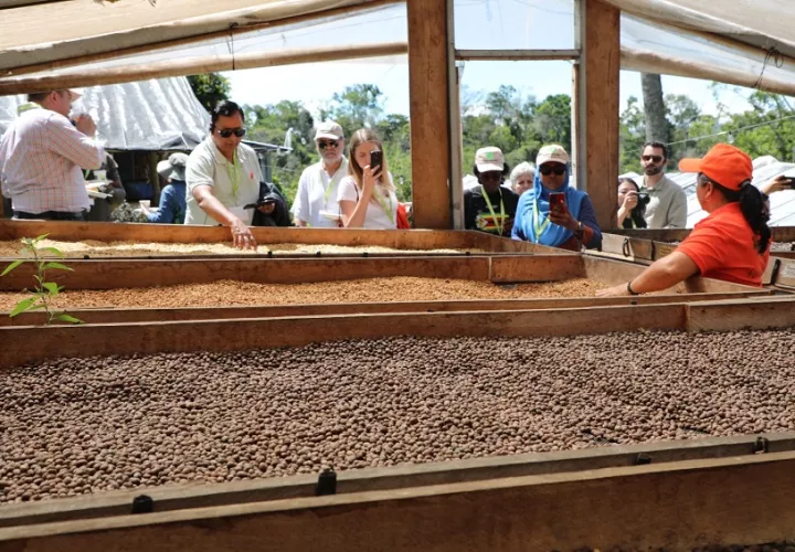 Una de las fincas visitadas por los extranjeros, en provincias centrales. Foto: Cortesía