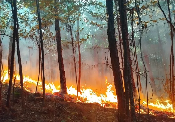 El incendió comenzó el pasado 13 de marzo en el distrito de Calobre, y desde entonces las brigadas han trabajado para contener las llamas. Foto. MiAmbiente