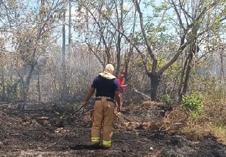 Existen diversas sospechas sobre el origen del incendio y no se descarta que haya sido provocado por mano criminal.