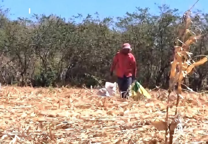 De acuerdo con los voceros del sector, la deuda acumulada por parte del Estado oscila entre 8 y 10 millones de dólares. Foto. Thays Domínguez