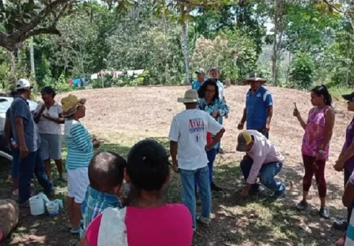 En febrero pasado, los miembros de Comité Nacional de Diálogo de la Agricultura Familiar denunciaron que el proyecto había sido suspendido.