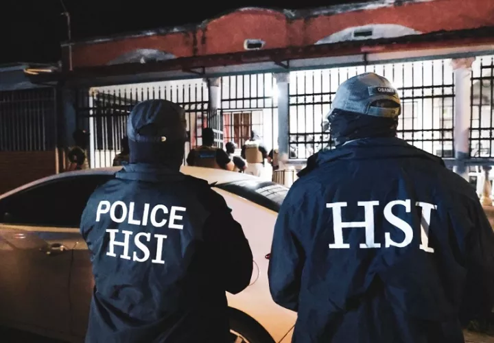 El Senafront detalló que mediante la investigación preliminar que se estableció que la organización contaba con roles claramente definidos.