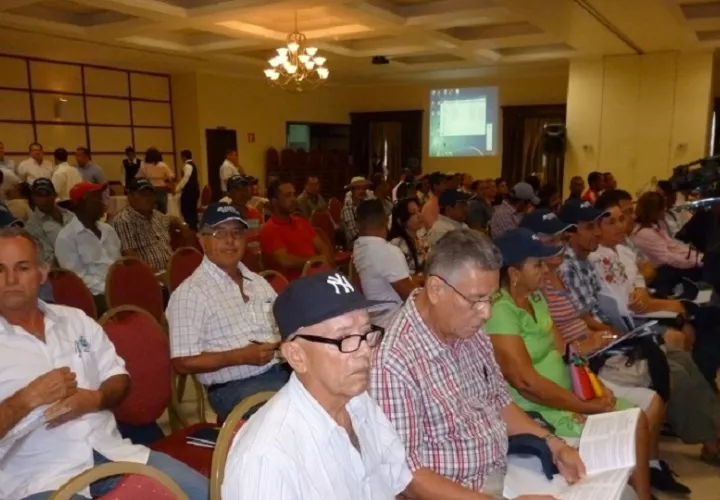 Los productores veragüenses se mantienen firmes y preparados para enfrentar la próxima temporada agrícola. Foto. Melquíades Vásquez