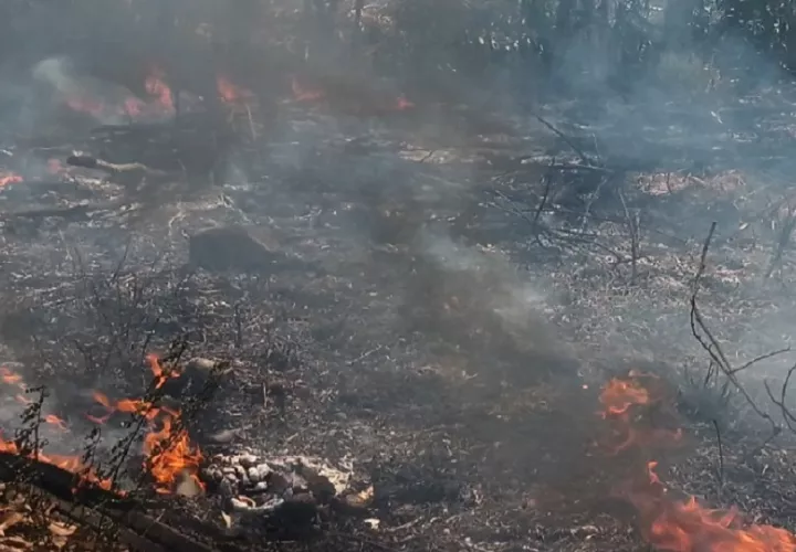 Los ciudadanos hacen un llamado a reforzar los controles, promover la denuncia y crear mayor conciencia sobre el impacto de las quemas