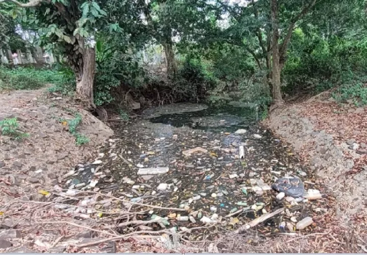  Se ubicó un afluente del río Caimito con una considerable cantidad de desechos contaminantes.