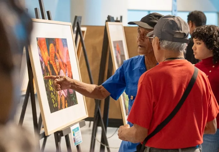 Cuenta con la participación de 135 artistas. Foto: Cortesía