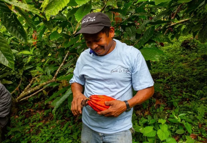  Para obtener la certificación Bird Friendly, el cultivo orgánico es primordial. Foto: Cortesía