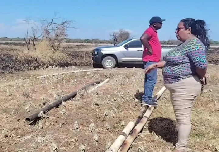 Los productores de esta zona agrícola de Coclé hicieron un llamado a las autoridades para que se refuercen los controles contra las quemas ilegales y se garantice una mejor distribución del agua.