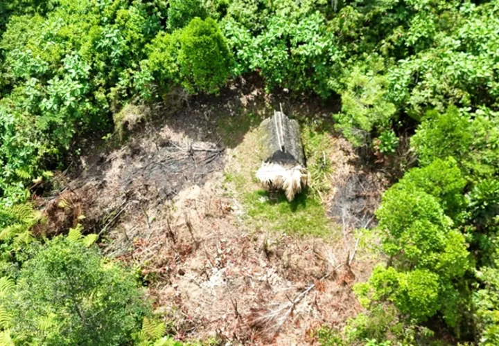 También se identificó una choza en la zona. Foto: Diomedes Sánchez