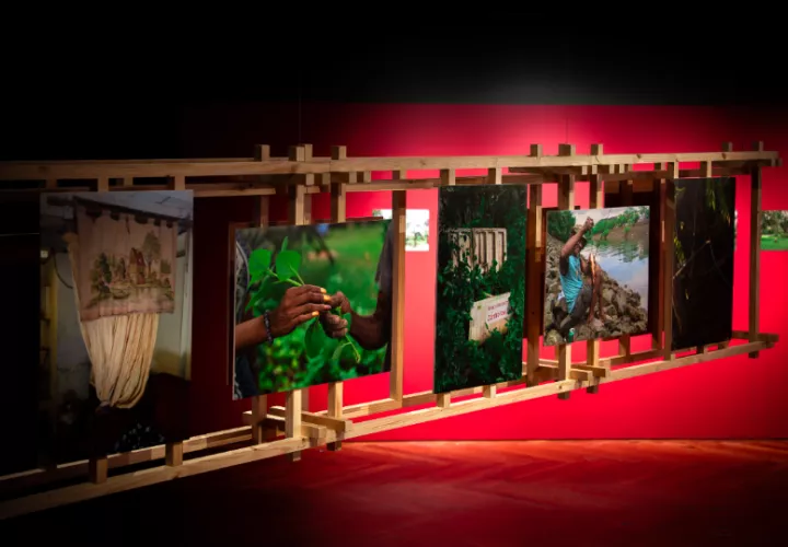 La exposición 'El jardín de Mr. Brown' se inauguró el 18 de marzo. Foto: Cortesía
