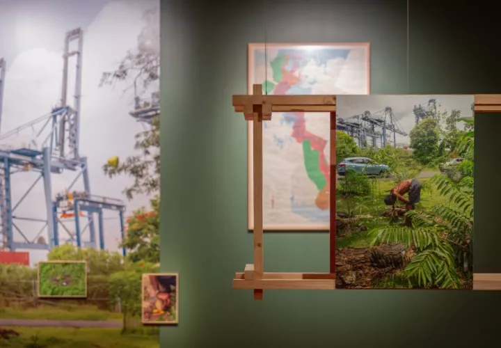 La muestra se exhibe en el Museo del Canal de Panamá. Foto: Cortesía