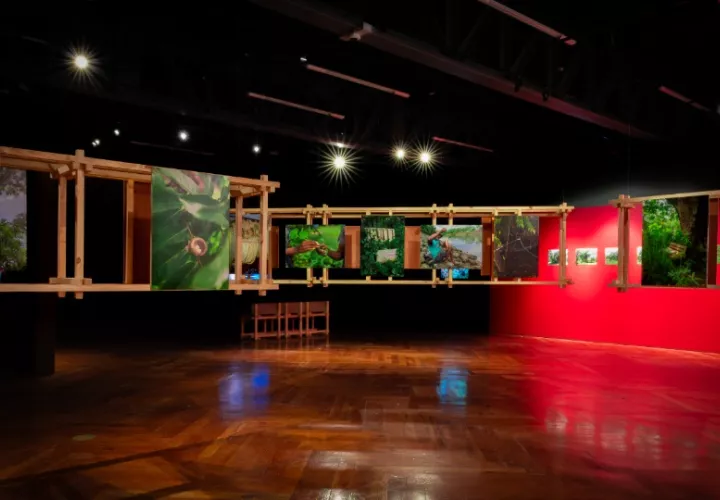 La exposición estará abierta al público hasta el 18 de octubre. Foto: Cortesía