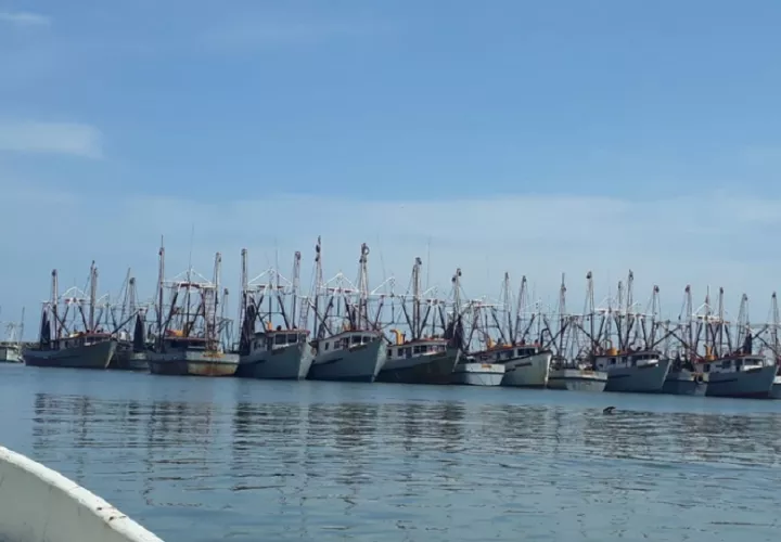 Con la entrada en operación del Centro de Seguimiento Pesquero y Vigilancia Satelital, el país avanza hacia la trazabilidad total de las capturas, un elemento crucial para fortalecer las exportaciones de productos del mar. Foto. Eric Montenegro