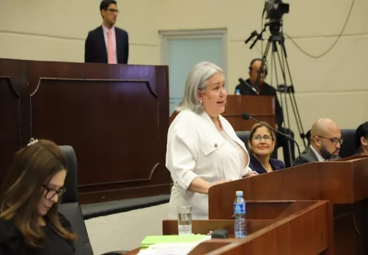 La ministra Beatriz Carles durante su comparecencia al pleno de la Asamblea Nacional.  Cortesía 