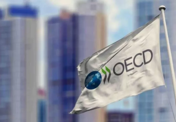 Organización para la Cooperación y el Desarrollo Económicos (OCDE).