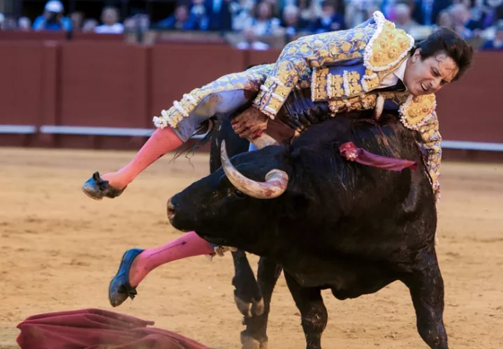 El diestro Roca Rey fue cogido al entrar a matar al quinto toro de la corrida de este jueves de la Feria de Abril de Sevilla. Foto: EFE
