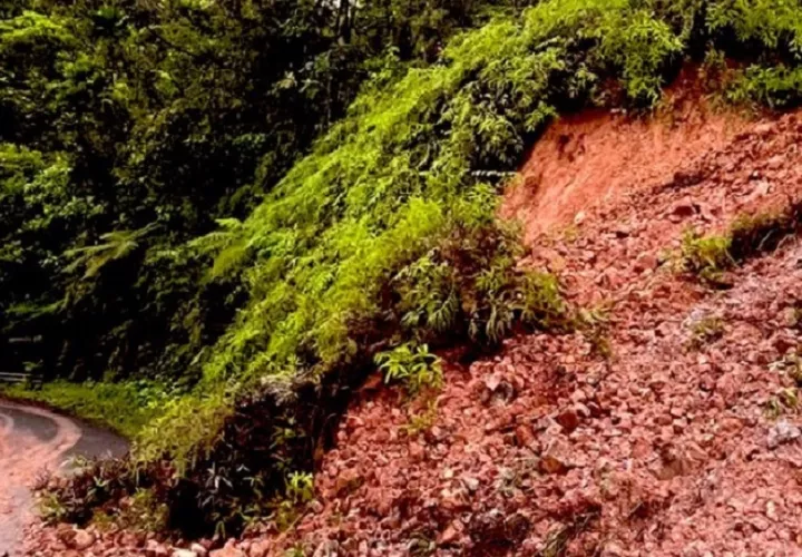 Los funcionarios del Sinaproc, atendieron dos deslizamientos y caída de árboles a la altura de quebrada Pera, en Veraguas. Foto. Sinaproc