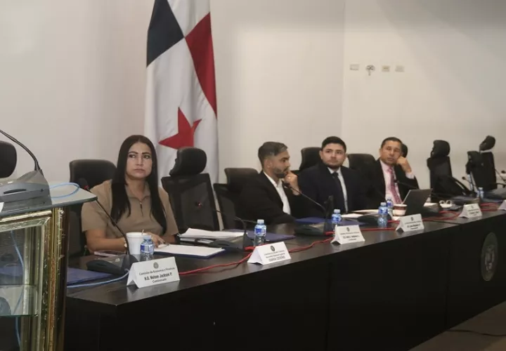 Miembros de la Comisión de Economía y Finanzas de la Asamblea.  Cortesía 