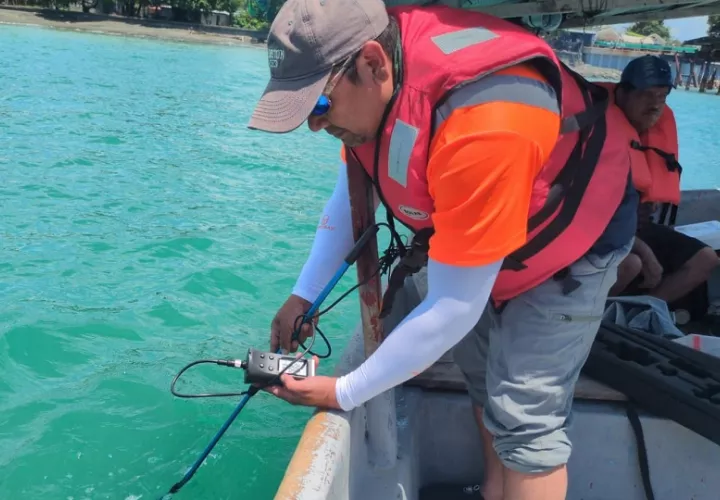 Biólogos supervisan impacto ambiental en el Muelle  multipropósito de Puerto Armuelles.