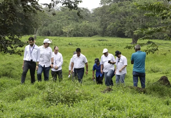 Las supervisiones son desarrolladas por Miviot y Secretaría de Metas. Foto: Diomedes Sánchez
