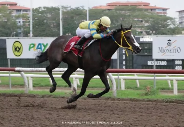 Doña Perfecta se mantiene invicta en cuatro salidas a la pista. Foto: Omar Yerar Batista.