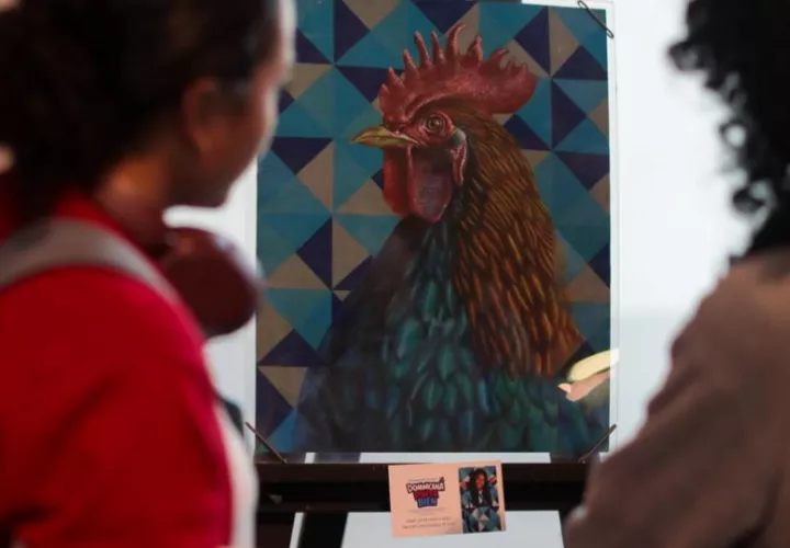 Obras de niños y adolescentes de la Escuela de Arte Eliosnet. Foto: Cortesía