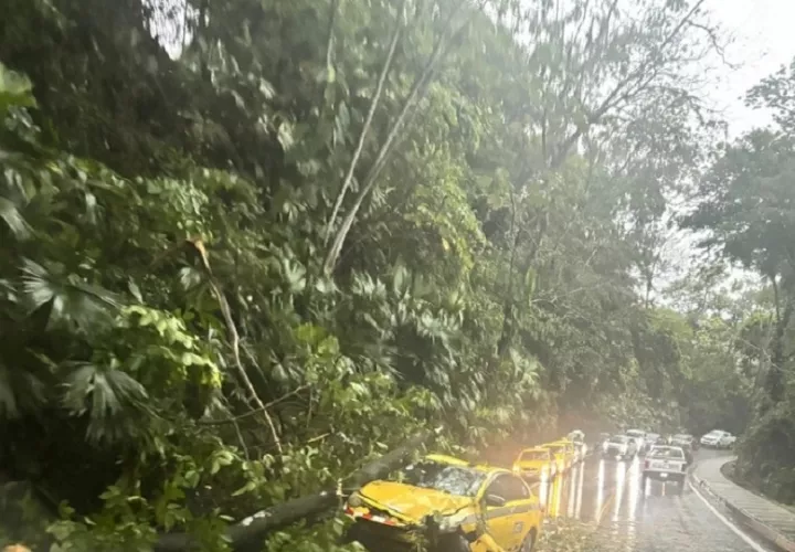 La caída de árboles afectó el libre tránsito, además un taxi también resultó con daños.