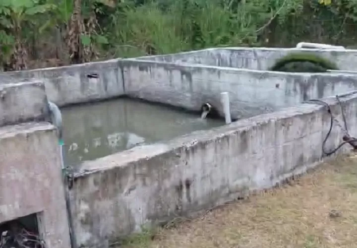 Solicitan la implementación formal de un plan de operación y mantenimiento, con registros verificables; una evaluación y certificación de los parámetros de calidad del agua tratada
