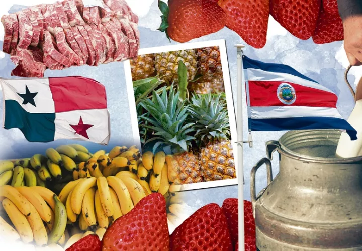 La restricción impuesta a Costa Rica prohíbe la importación de plátano, banano, carnes de res, de cerdo, de pollo, lácteos, piñas y fresas. Foto: Pexels / Epasa
