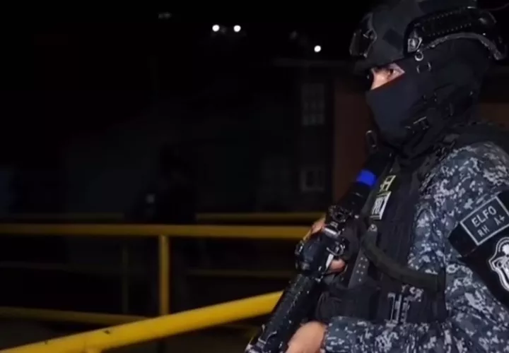 Según a policía, estas acciones son muestra del trabajo conjunto. Foto: Cortesía