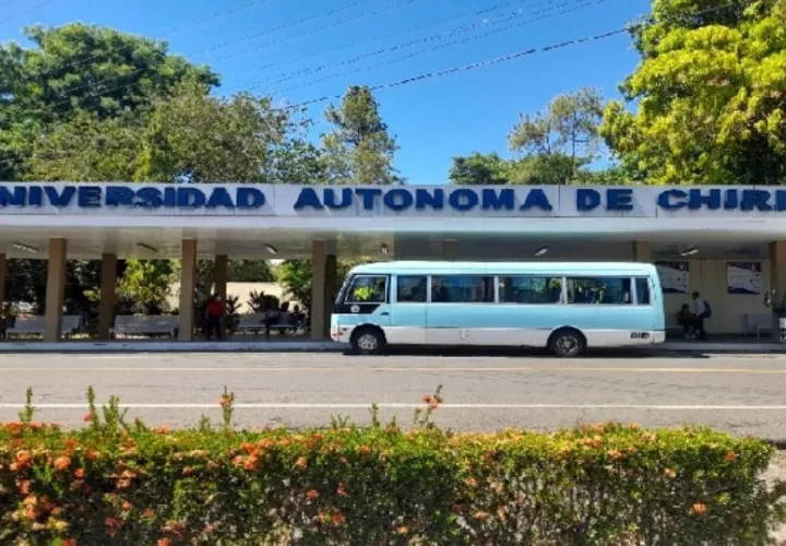 unachi-fondos_0.jpg