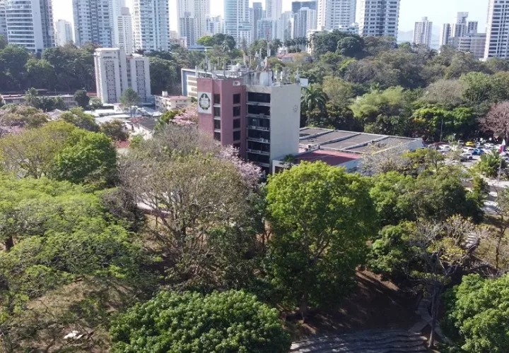 Universidad de Panamá. Foto: Cortesía