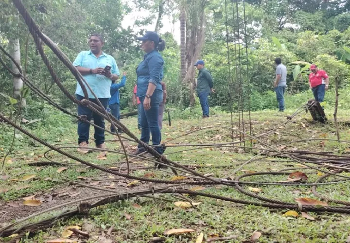 Para adelantar la obra se movilizará personal técnico procedente de otras provincias del país. Foto. Cortesía
