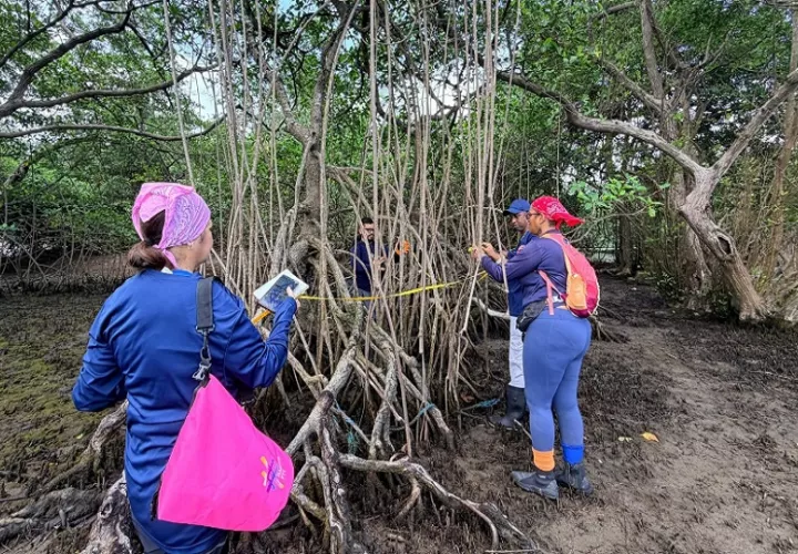 Exploración del área. Foto: Diomedes Sánchez