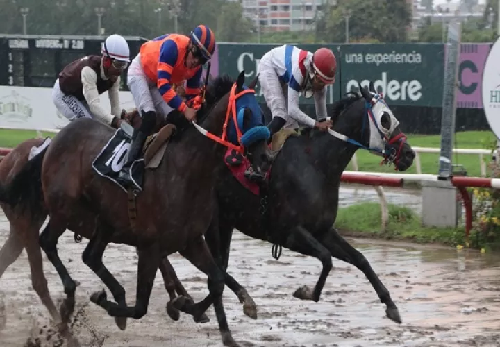 Nueve balanceadas carreras habrá en el Hipódromo Presidente Remón. Foto: Omar Yerar Batista